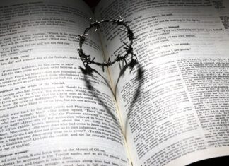 Ile kosztuje godzina pracy farelki?