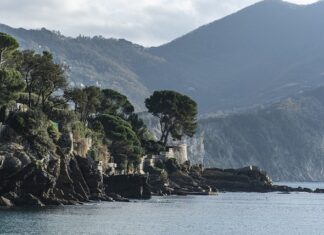 Ile kosztuje woda do podlewania ogrodu?