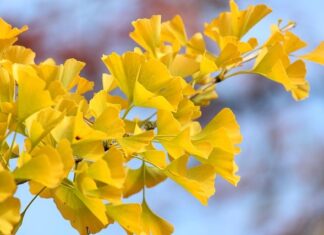 Czy można zamontować wentylator w bloku?