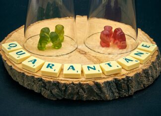 Jak izolować rury co?