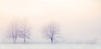 Ile trwa zamrażanie kostek lodu?